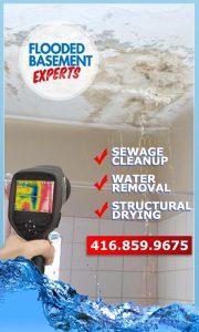 Basement: Flood Let the Experts Handle the Cleanup, repair and restoration