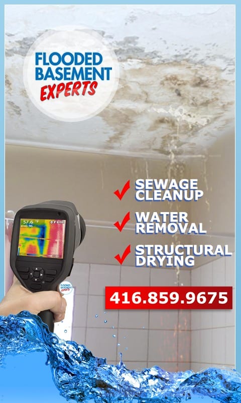 Basement: Flood Let the Experts Handle the Cleanup, repair and restoration